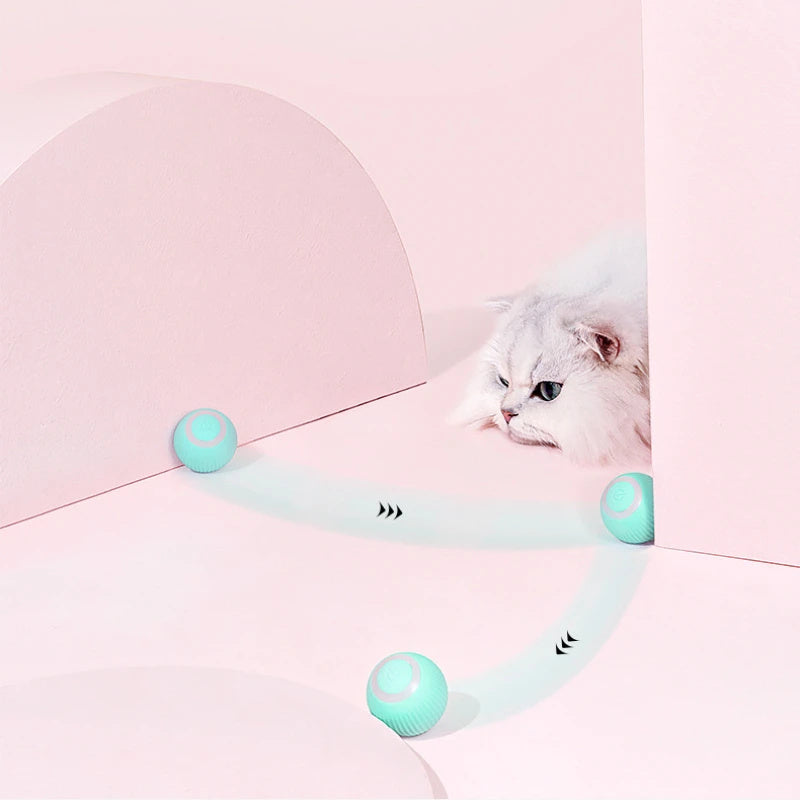 Interactive Remote Control Cat Toy
